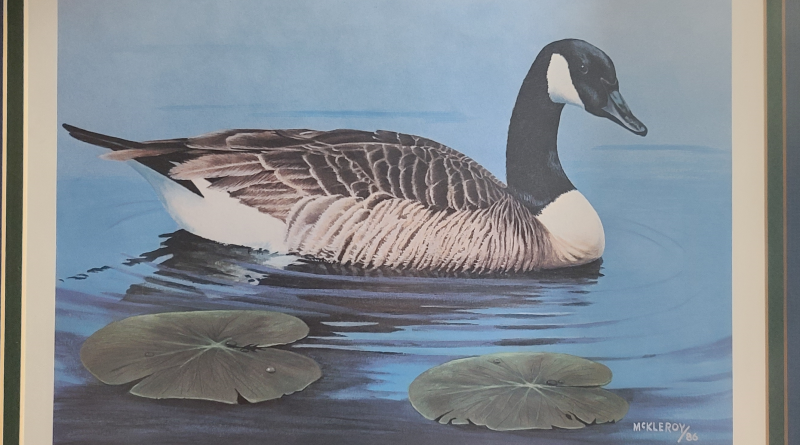 Goose swimming amidst lily pads.